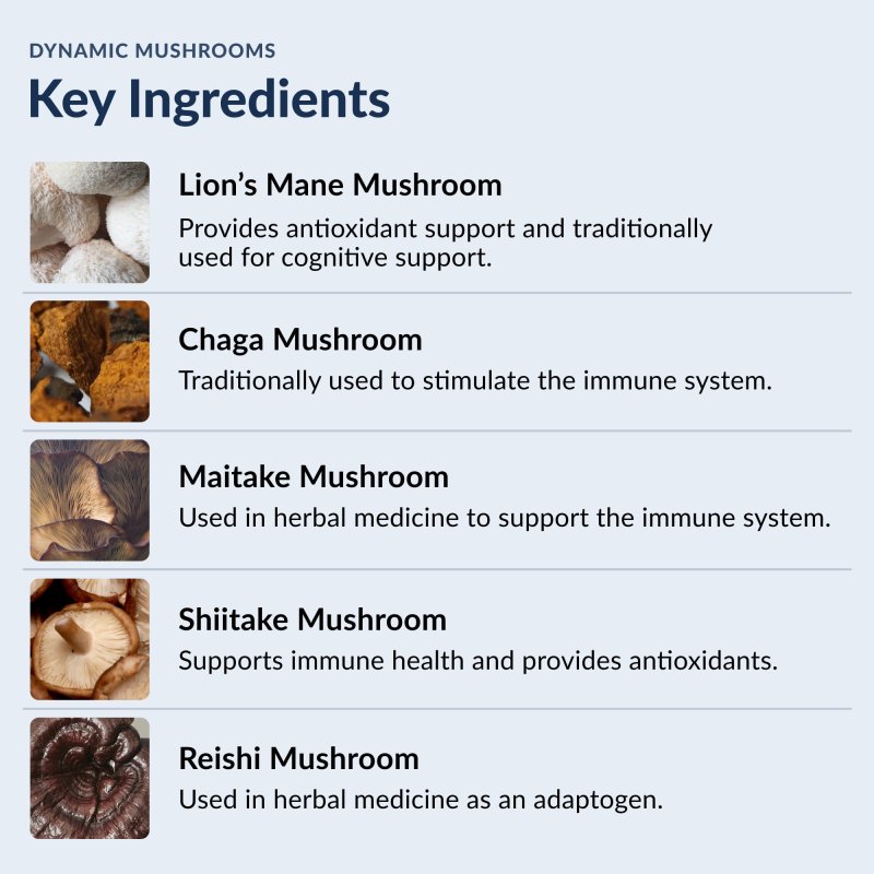 STONEHENGE HEALTH DYNAMIC MUSHROOMS - NOOTROPIC BRAIN & IMMUNE BOOSTER - LION'S MANE, CHAGA, MAITAKE, SHIITAKE, REISHI - 60 CAPSULES