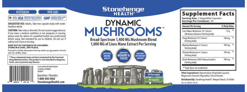 STONEHENGE HEALTH DYNAMIC MUSHROOMS - NOOTROPIC BRAIN & IMMUNE BOOSTER - LION'S MANE, CHAGA, MAITAKE, SHIITAKE, REISHI - 60 CAPSULES