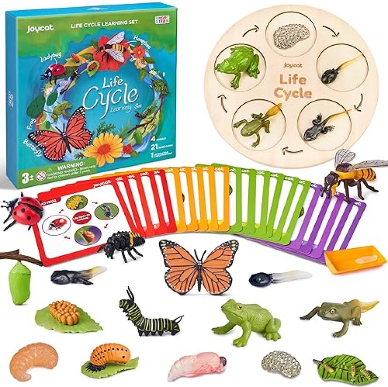 LIFEGUANGZHOU  CYCLE LEARNING TOYS FOR KIDS: INSECT TO BUTTERFLY KIT, LADYBUG, BEE, TADPOLE TO FROG - AGES 3-8