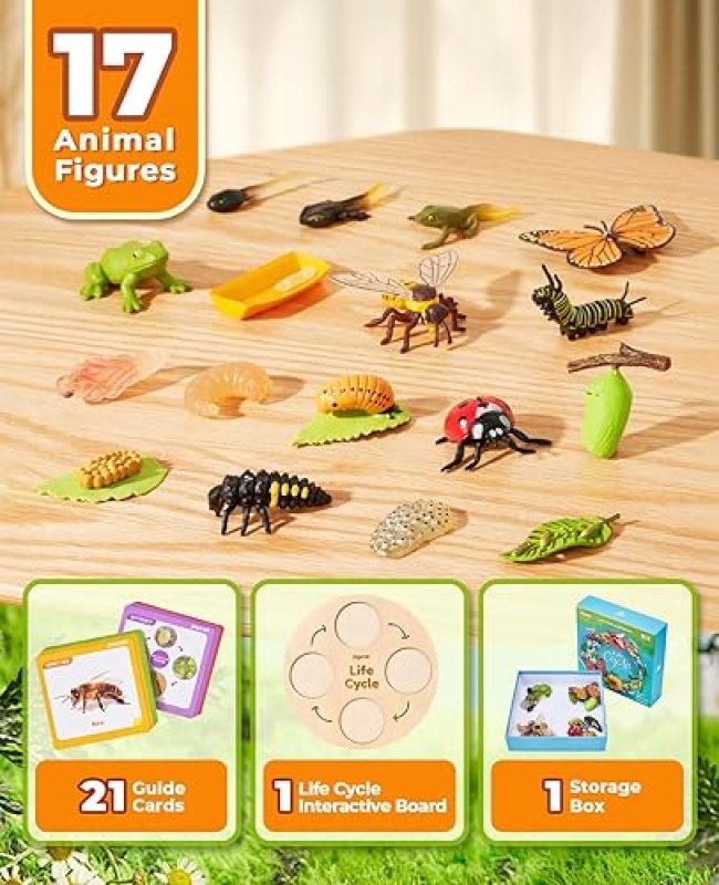 LIFEGUANGZHOU  CYCLE LEARNING TOYS FOR KIDS: INSECT TO BUTTERFLY KIT, LADYBUG, BEE, TADPOLE TO FROG - AGES 3-8