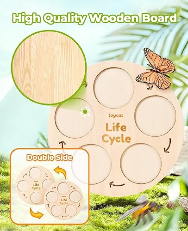 LIFEGUANGZHOU  CYCLE LEARNING TOYS FOR KIDS: INSECT TO BUTTERFLY KIT, LADYBUG, BEE, TADPOLE TO FROG - AGES 3-8