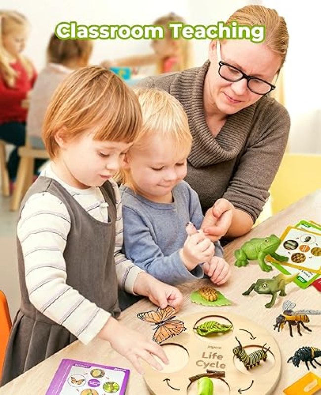 LIFEGUANGZHOU  CYCLE LEARNING TOYS FOR KIDS: INSECT TO BUTTERFLY KIT, LADYBUG, BEE, TADPOLE TO FROG - AGES 3-8
