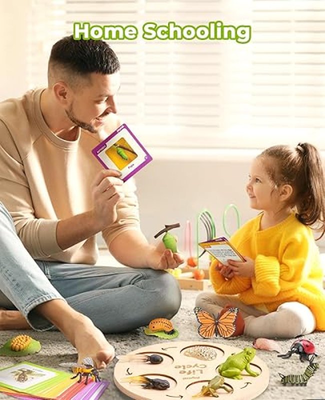 LIFEGUANGZHOU  CYCLE LEARNING TOYS FOR KIDS: INSECT TO BUTTERFLY KIT, LADYBUG, BEE, TADPOLE TO FROG - AGES 3-8