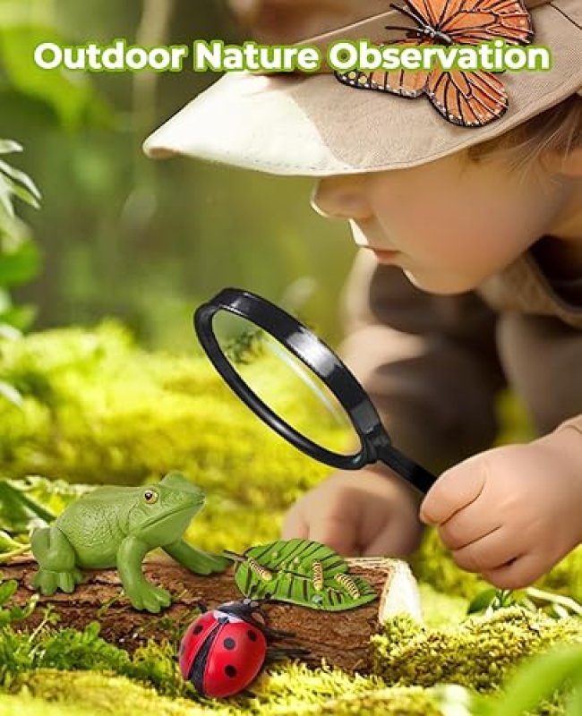 LIFEGUANGZHOU  CYCLE LEARNING TOYS FOR KIDS: INSECT TO BUTTERFLY KIT, LADYBUG, BEE, TADPOLE TO FROG - AGES 3-8