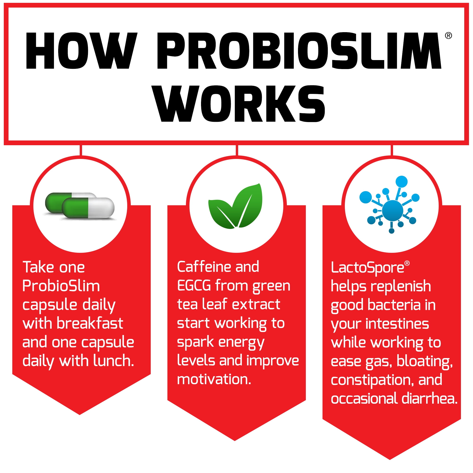 FORCE FACTOR PROBIOSLIM PROBIOTIC AND WEIGHT LOSS SUPPLEMENT WITH PROBIOTICS - 120 CAPSULES