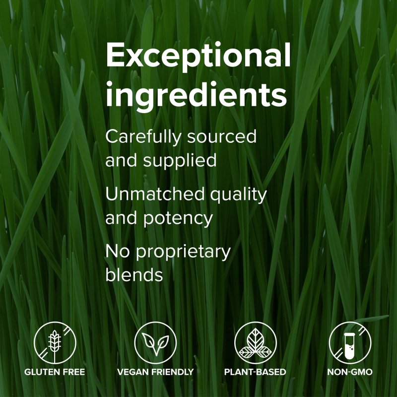 VIBRANT HEALTH VIBRANCE VEGAN SUPERFOOD POWDER - 60 SERVINGS