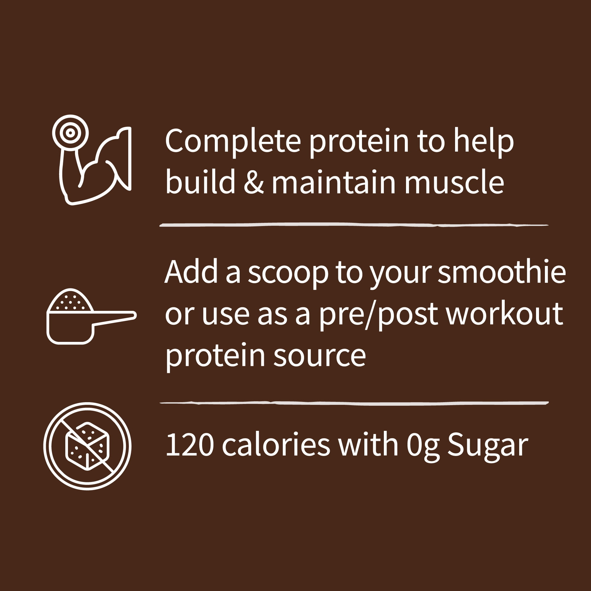 GARDEN OF LIFE ORGANIC PLANT-BASED PROBIOTIC PROTEIN SHAKE POWDER FOR DIGESTIVE HEALTH - VEGAN CHOCOLATE 20OZ