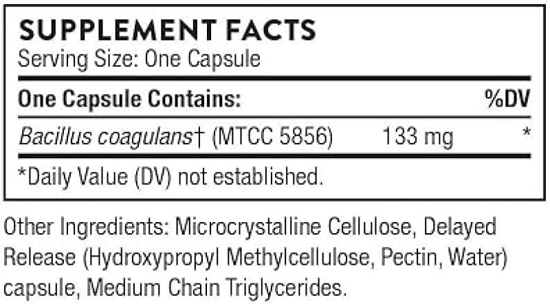 THORNE BACILLUS COAGULANS PROBIOTIC - SHELF STABLE SUPPLEMENT FOR GUT HEALTH - 60 CAPS