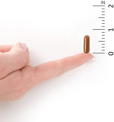 GARDEN OF LIFE B12 CAPSULES - VEGAN WHOLE FOOD B-12 FOR ENERGY - 1,000MCG METHYLCOBALAMIN - PROBIOTICS & ENZYMES - GLUTEN
