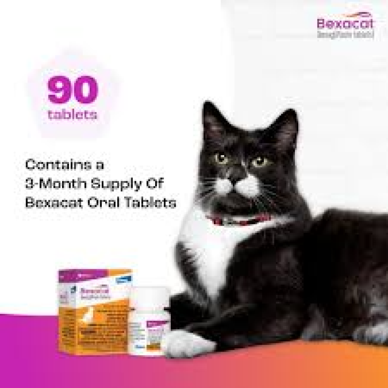 BEXACAT FLAVORED TABLETS FOR CATS, 15MG, 90 COUNT