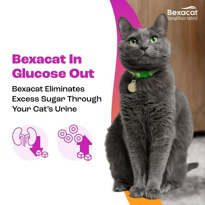 BEXACAT FLAVORED TABLETS FOR CATS, 15MG, 90 COUNT