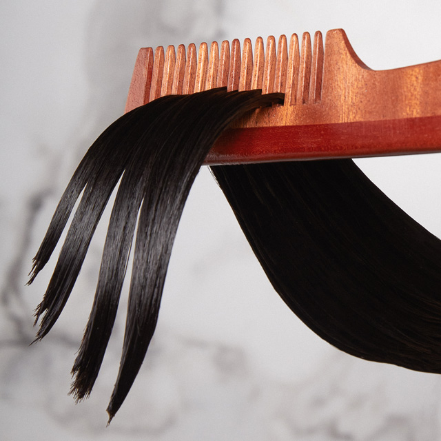 AUGUSTINUS BADER THE NEEM COMB
