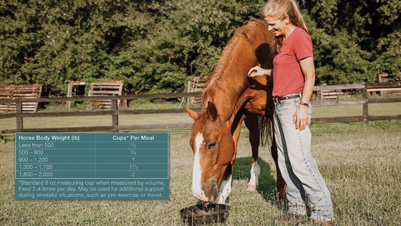 TRIBUTE EQUINE NUTRITION CONSTANT COMFORT PLUS GUT HEALTH HORSE SUPPLEMENT, 40-LBS BAG