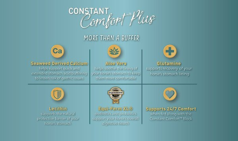 TRIBUTE EQUINE NUTRITION CONSTANT COMFORT PLUS GUT HEALTH HORSE SUPPLEMENT, 40-LBS BAG