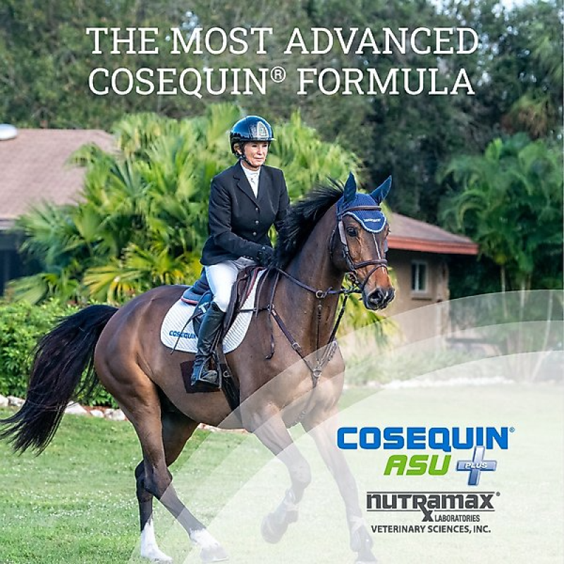 NUTRAMAX COSEQUIN ASU PLUS HYALURONIC ACID & GREEN TEA EXTRACT JOINT HEALTH POWDER HORSE SUPPLEMENT, 1050-G