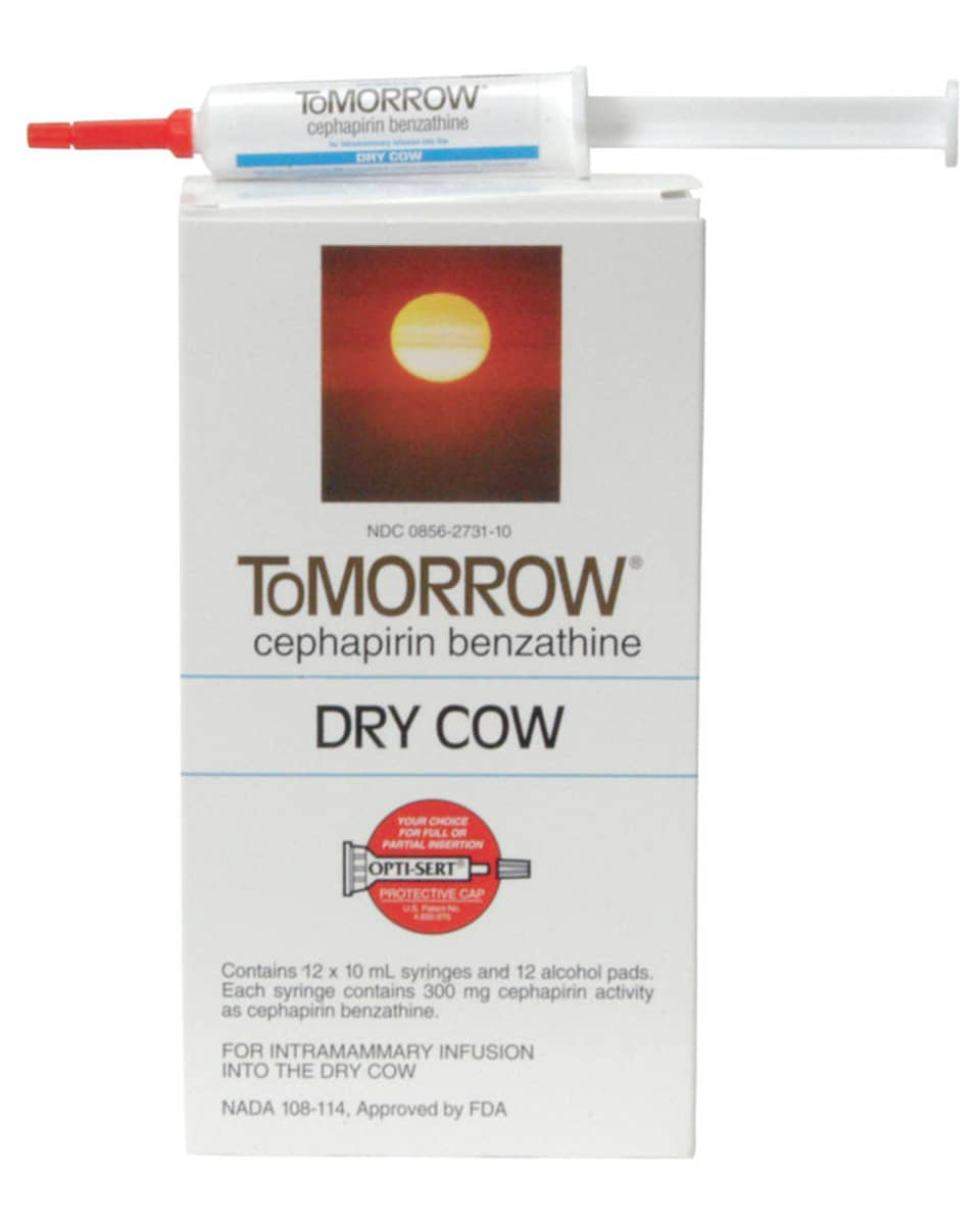 TOMORROW MASTITIS