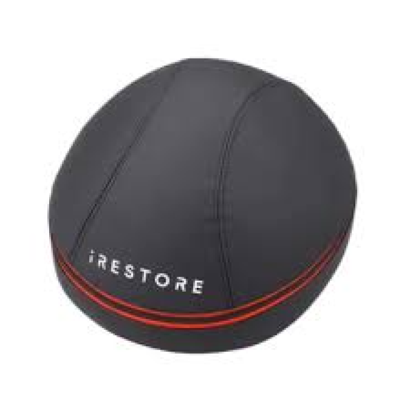 IRESTORE PROFESSIONAL CARRYING CASE