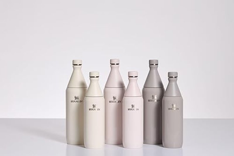 STANLEY ALL DAY SLIM 20OZ INSULATED STAINLESS STEEL WATER BOTTLE LEAKPROOF, BPA-FREE CREAM