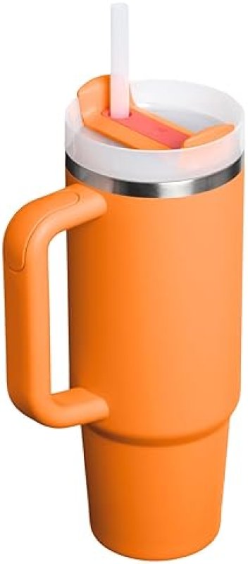 STANLEY QUENCHER 30OZ INSULATED STAINLESS STEEL TUMBLER WITH HANDLE, STRAW 3-POSITION LID