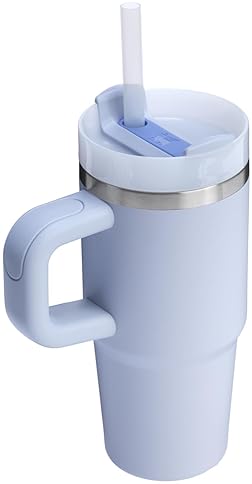 STANLEY QUENCHER 14OZ INSULATED TUMBLER WITH HANDLE, STRAW FLOWSTATE LID BPA-FREE, TRAVEL CUP