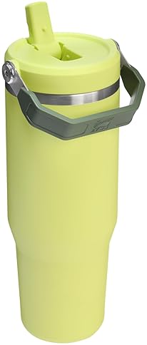 STANLEY ICEFLOW 2.0 30OZ INSULATED STAINLESS STEEL TUMBLER WITH FLIP STRAW LEAKPROOF LID