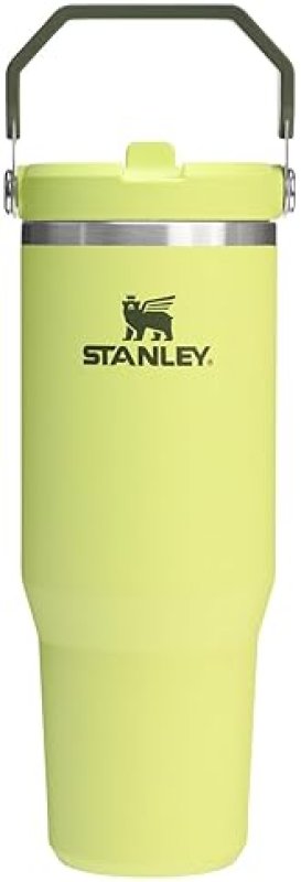 STANLEY ICEFLOW 2.0 30OZ INSULATED STAINLESS STEEL TUMBLER WITH FLIP STRAW LEAKPROOF LID