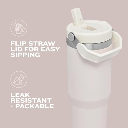 STANLEY ICEFLOW 2.0 30OZ INSULATED STAINLESS STEEL TUMBLER WITH FLIP STRAW LEAKPROOF LID