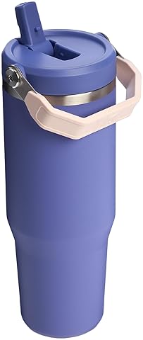 STANLEY ICEFLOW 2.0 30OZ INSULATED STAINLESS STEEL TUMBLER WITH FLIP STRAW LEAK-RESISTANT LID
