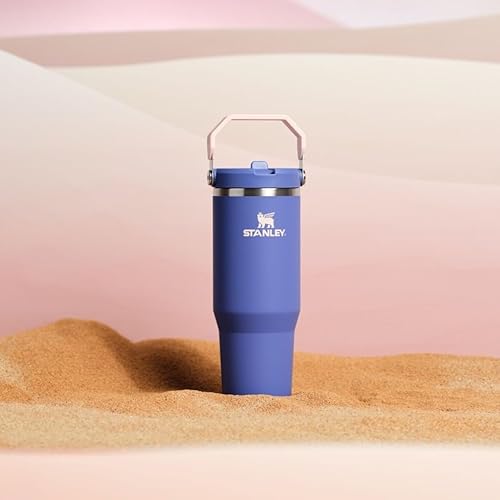 STANLEY ICEFLOW 2.0 30OZ INSULATED STAINLESS STEEL TUMBLER WITH FLIP STRAW LEAK-RESISTANT LID