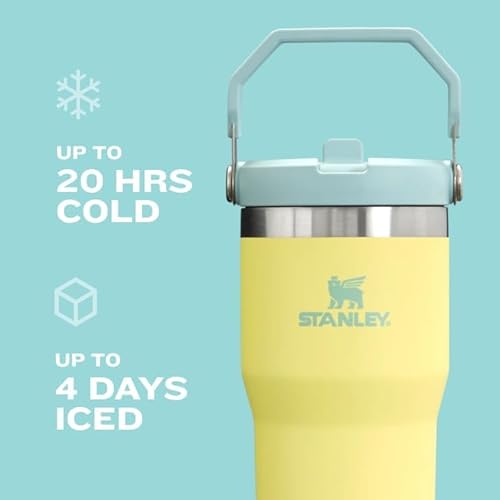 STANLEY ICEFLOW 2.0 30OZ INSULATED STAINLESS STEEL TUMBLER WITH FLIP STRAW LEAK-RESISTANT LID