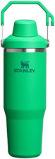 STANLEY ICEFLOW 2.0 30 OZ INSULATED STAINLESS STEEL TUMBLER WITH HANDLE LEAKPROOF LID - MEADOW