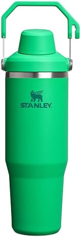STANLEY ICEFLOW 2.0 30 OZ INSULATED STAINLESS STEEL TUMBLER WITH HANDLE LEAKPROOF LID - MEADOW