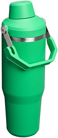 STANLEY ICEFLOW 2.0 30 OZ INSULATED STAINLESS STEEL TUMBLER WITH HANDLE LEAKPROOF LID - MEADOW