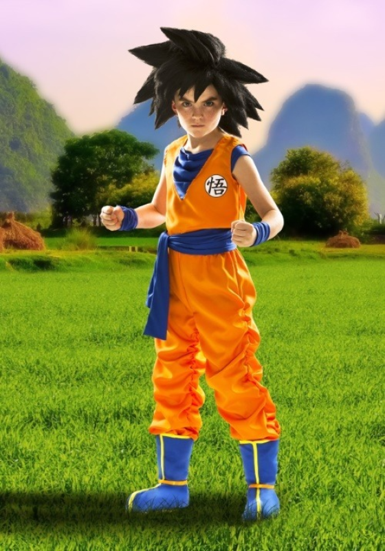 SPIRIT HALLOWEN COSTUMES BOY'S DRAGON BALL Z GOKU COSTUME