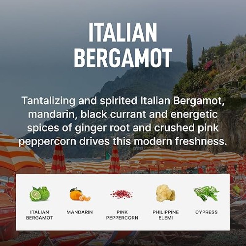 LAUNDRY SAUCE ITALIAN BERGAMOT BUNDLE SCENTED PODS, BOOSTER, SOFTENER DRYER SHEETS