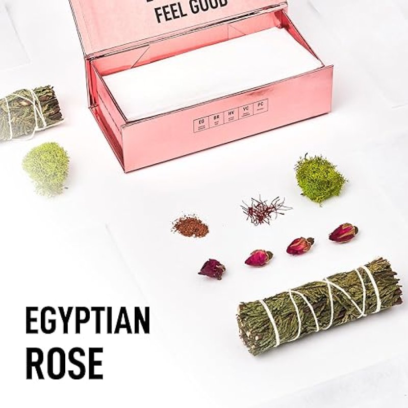 LAUNDRY SAUCE DRYER SHEETS BUNDLE EGYPTIAN ROSE INDONESIAN PATCHOULI SCENTED, 2 SETS