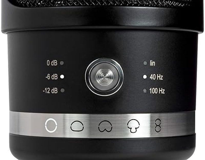 NEUMANN INSTRUMENT CONDENSER MICROPHONE BLACK STUDIO SET HIGH-QUALITY AUDIO RECORDING