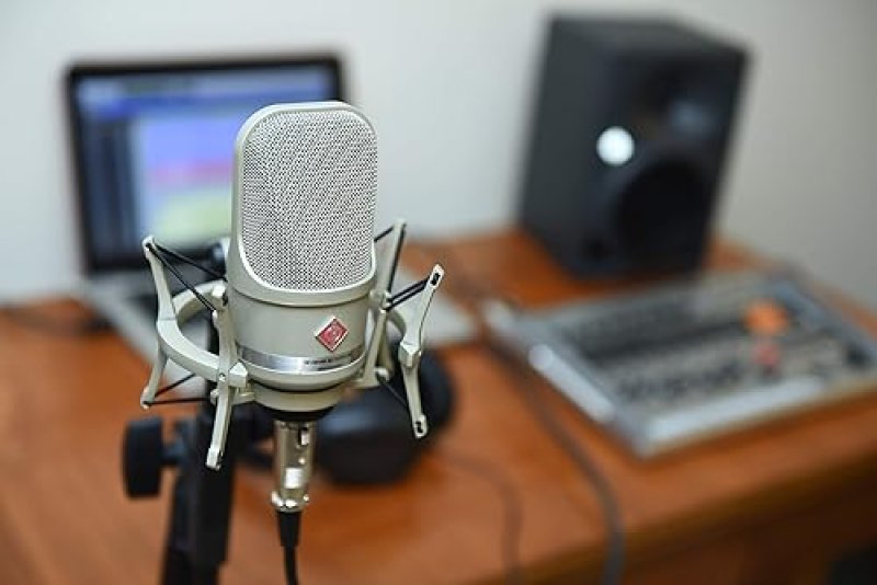NEUMANN INSTRUMENT CONDENSER MICROPHONE BLACK STUDIO SET HIGH-QUALITY AUDIO RECORDING