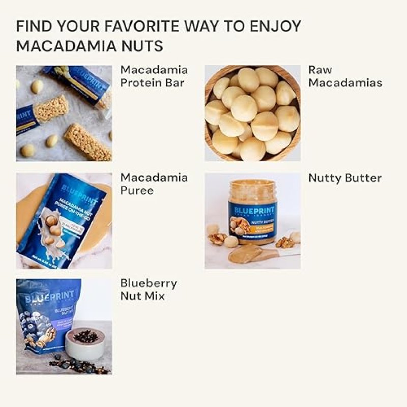 BLUEPRINT BRYAN JOHNSON MACADAMIA NUT PROTEIN BARS 9G PLANT PROTEIN, VEGAN, LOW CARB, KETO, NON-GMO 12 PACK