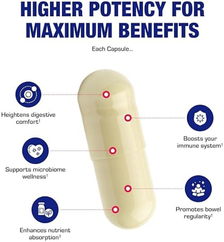 ANABOLIC LABORATORIES ADVANCED DIGESTIVE PROBIOTICS 4-IN-1 FOR MEN WOMEN LACTOBACILLUS BIFIDOBACTERIUM, 100 SERVINGS