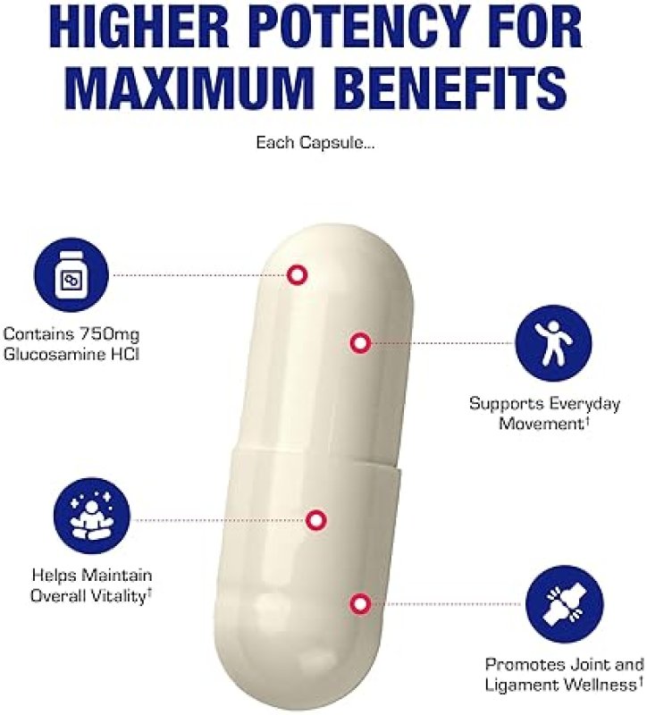 ANABOLIC LABORATORIES VEGAN GLUCOSAMINE JOINT SUPPLEMENT FOR MOBILITY, FLEXIBILITY COMFORT NON-GMO, SHELLFISH-FREE, 120 SE