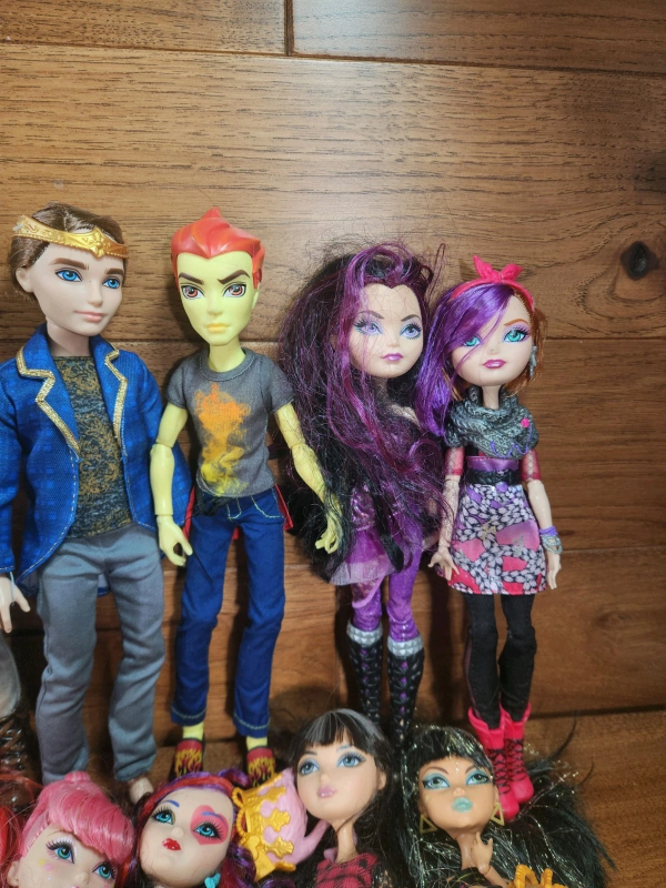 MONSTER HIGH EVER AFTER HIGH DOLLS W/ SOME OTHER BRANDS