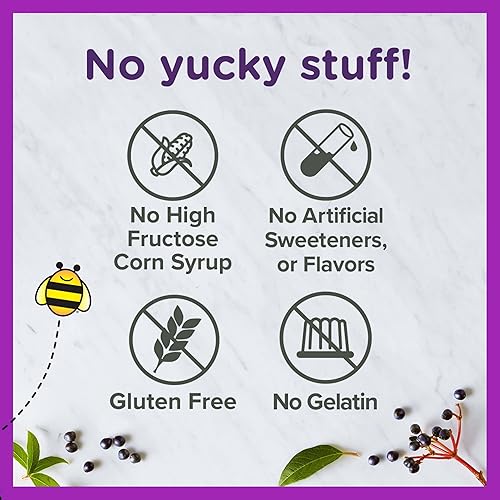 ZARBEES ELDERBERRY GUMMIES FOR KIDS WITH VITAMIN C ZINC IMMUNE SUPPORT, 21 COUNT