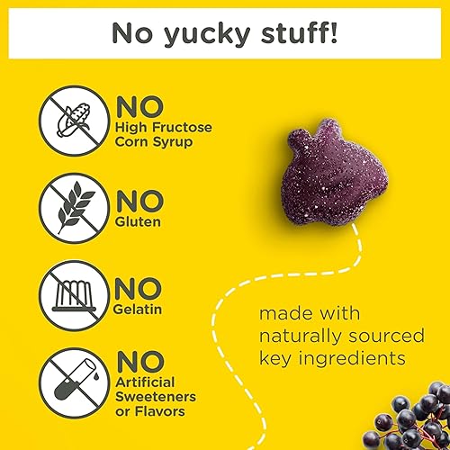 ZARBEE S KIDS ELDERBERRY IMMUNE SUPPORT GUMMIES WITH VITAMINS A C D3 E ZINC, 42 CT