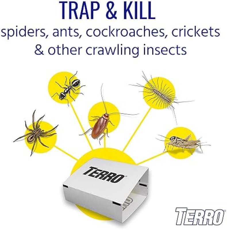 TERRO T3206 INDOOR SPIDER INSECT STICKY TRAPS 4 COUNT PACK OF 1
