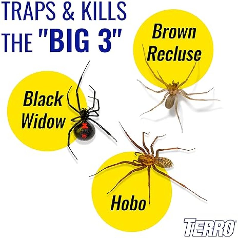 TERRO T3206 INDOOR SPIDER INSECT STICKY TRAPS 4 COUNT PACK OF 1