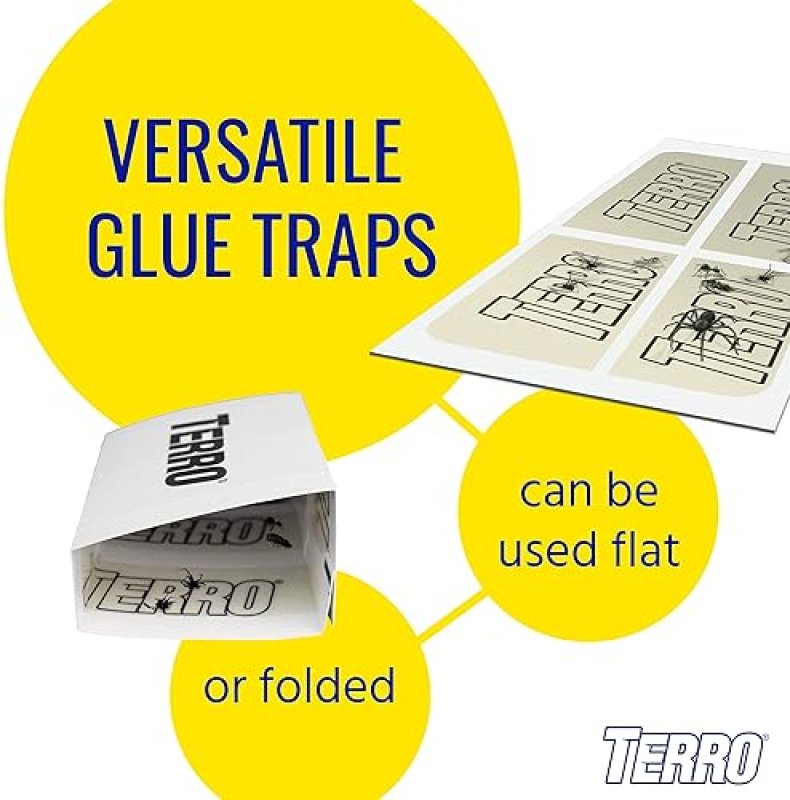 TERRO T3206 INDOOR SPIDER INSECT STICKY TRAPS 4 COUNT PACK OF 1