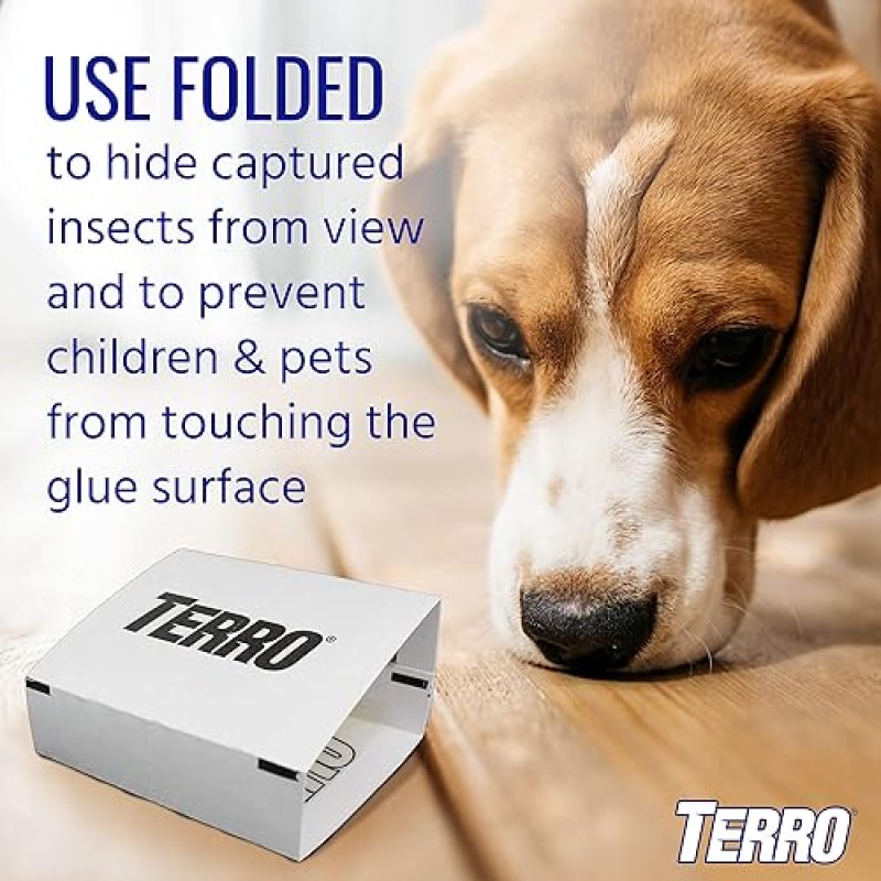 TERRO T3206 INDOOR SPIDER INSECT STICKY TRAPS 4 COUNT PACK OF 1