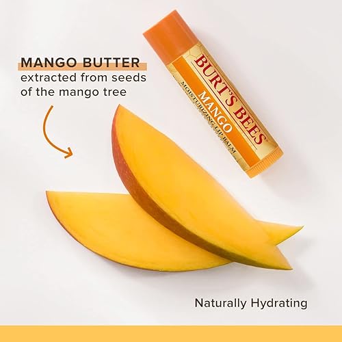 BURTS BEES MOISTURIZING MANGO LIP BALM 2-PACK, 0.15 OZ 4.25 G EACH HYDRATING LIP CARE BALM