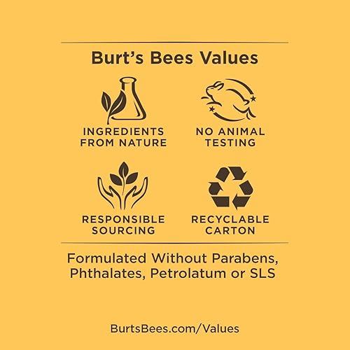 BURTS BEES MOISTURIZING MANGO LIP BALM 2-PACK, 0.15 OZ 4.25 G EACH HYDRATING LIP CARE BALM